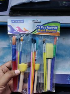 15 Pcs Assorted Paint Brushes