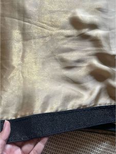 Beautiful Shiny Saree