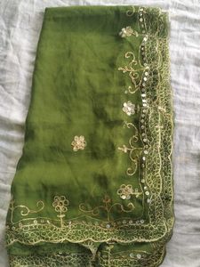 Green &amp; Gold Embroidered Salwar Kameez Suit