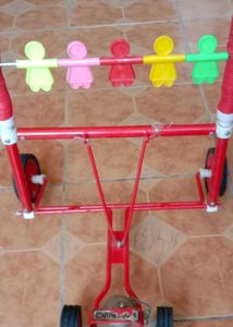 Kids Folding Trally