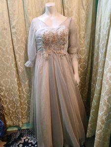 Goldish Grey Embellished Tulle Dress