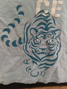 Fierce Tiger Graphic Tee