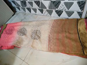 Elegant vintage saree