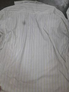 Striped Shirt