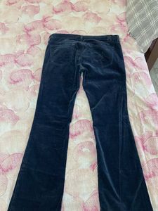 AG Velvet Pants