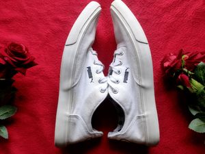 Puma Canvas Men👟