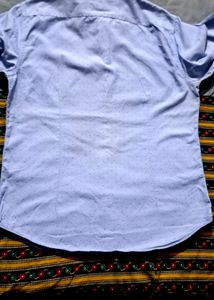 Branded louis sky blue printed shirt.