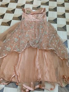 Elegant Ethnic Gown
