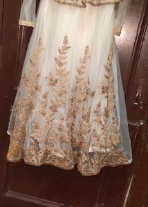 Elegant Ethnic Gown