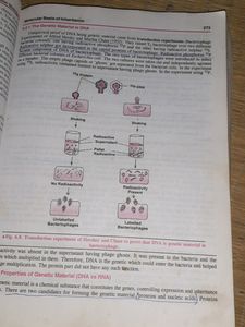 Dinesh Companion Biology Class 12