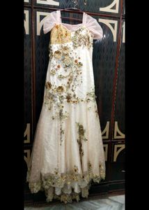 Elegant Ethnic Gown With Long Tail
