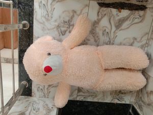 Cash 600 Teddy Bear Special For Valentine