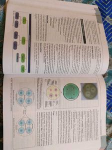 Microbiology Textbook 12th Edition