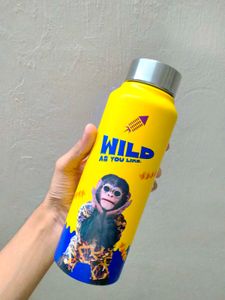 Cornitos  Exclusive Merchandise Steel Water Bottle