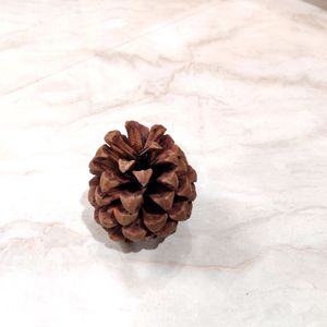 2 Piece Pine Cone Decorative