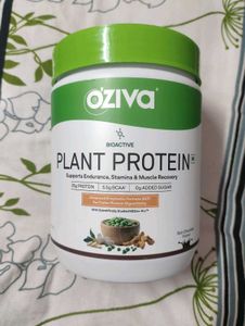 Plant protein