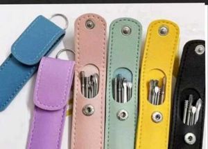 Ear pic Cleaner Tool Set