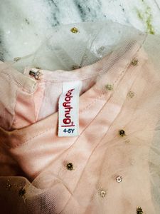 Pink Embellished Lehenga Choli