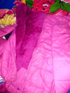 Majanta Colour Puffy Jacket 🧥 For Girls