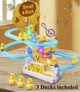 Duck Race Track Toy