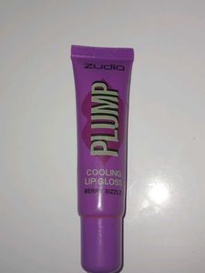 Zudio Plump Berry Sizzle Lip Gloss
