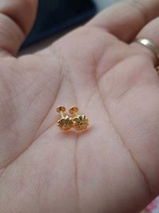 Beautiful New Flower 🌼 Desine Studs