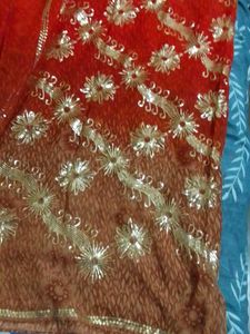 Orange saare with blouse