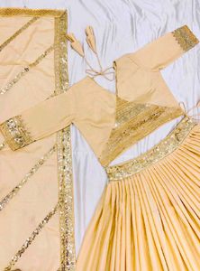 Beautiful Lehenga Choli 💗