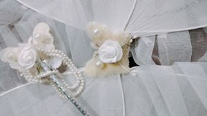 Fairy Wings Pari Wings