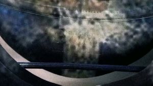 FREECULTR Blue T shirt