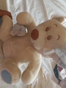 Cute Stuffed Bear