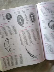 New Era Biology Books By GRB CLASS 11 PART 1