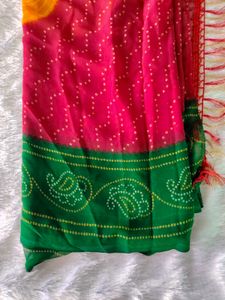 Elegant Ethnic Saree