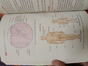 General Anatomy Handbook