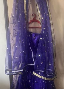 Purple Mermaid Net Sequinned Lehenga With Dupatta
