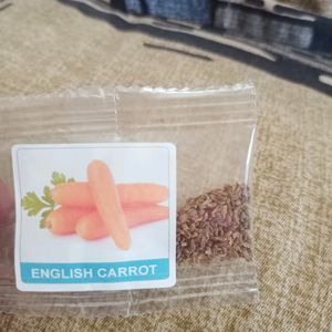 Vegetable Seeds
