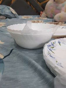 21 Pieces Dinner Set
