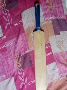 Cricket Bat With A Signature Of Dinesh Karthik