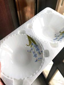 BOROSIL Set of 2 Bowls