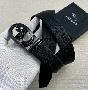 Jaguar Belts
