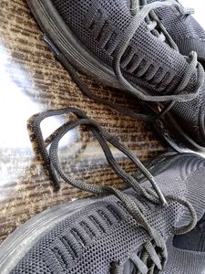 FREE 🚚 Sneakers for Women