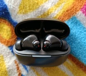 Ptron Earbuds