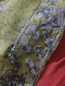 Sequence Saree