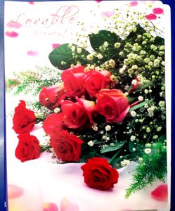 Photo Album (Pack Of 1)