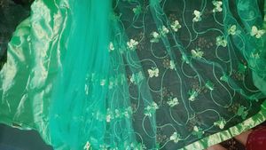 Net Butterfly Saree