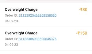 Inline Sketes Sketing Shoes - 1 QUANTITY