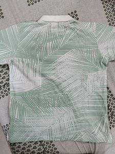 Boys Collar Neck Tshirt