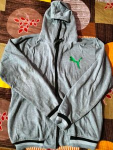 Puma Grey Hoodie