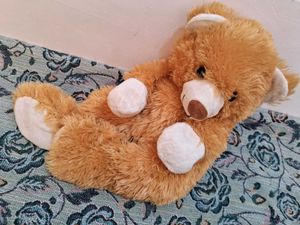 Plush Teddy Bear