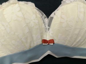 Offer Price Combo Sexy Imported Bra